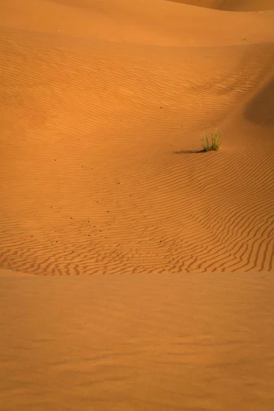 Hermosa Exposición Realizada Desierto Con Colorido Color Rojo Sobre Puesta —  Fotos de Stock