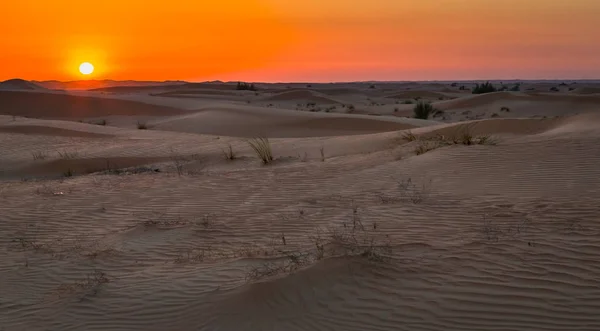 美しい露出砂砂丘の夕日そのカラフルな色の赤で砂漠の上塗り — ストック写真
