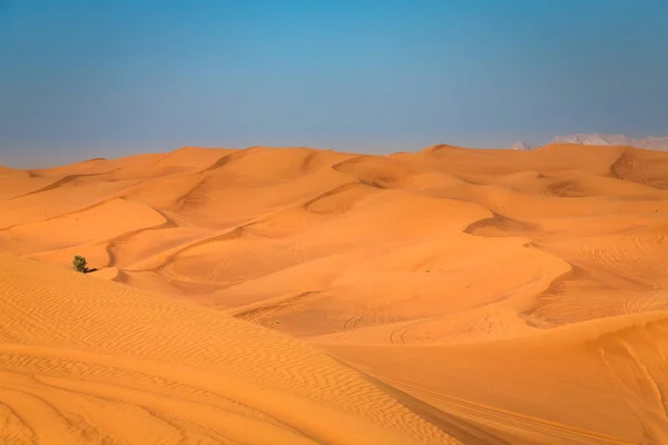 Красива Експозиція Зроблена Пустелі Барвистим Червоним Кольором Над Заходом Сонця — стокове фото