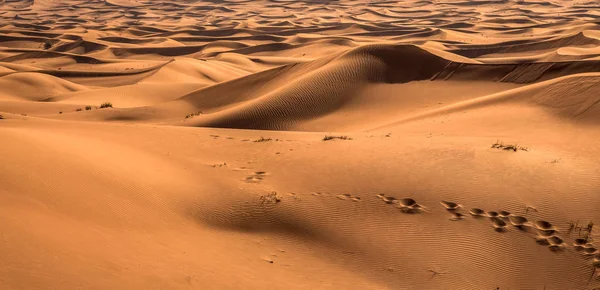 Gyönyörű Expozíció Tenni Sivatagban Színes Piros Színű Naplemente Alatt Homok — Stock Fotó