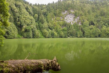 Güzel Adası, Sao Miguel için yapılan, Azores, Portekiz bitmiş pozlama