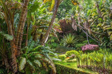 Güzel Adası, Sao Miguel için yapılan, Azores, Portekiz bitmiş pozlama