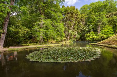 Güzel Adası, Sao Miguel için yapılan, Azores, Portekiz bitmiş pozlama
