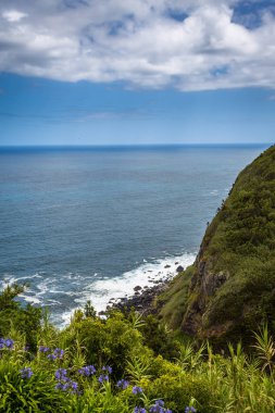Fotoğraf güzel Adası, S. Miguel için yapılan, Azores, Portekiz