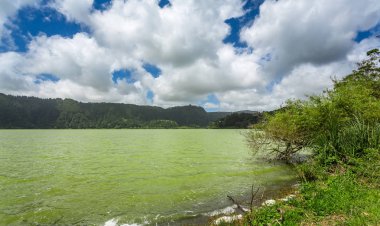 Furnas, en doğudaki üç etkin trachitic volkan üzerinde Adası Sao Miguel, tarihsel olarak aktif volkanik karmaşık, Furnas içinde yer almaktadır. 