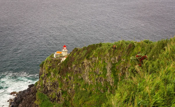 Foto Tirada Bela Ilha Miguel Açores Portugal — Fotografia de Stock