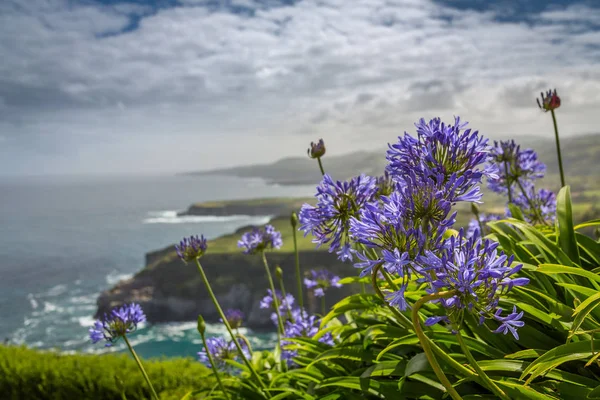 Fotografie Pořízené Krásného Ostrova Miguel Azory Portugalsko — Stock fotografie