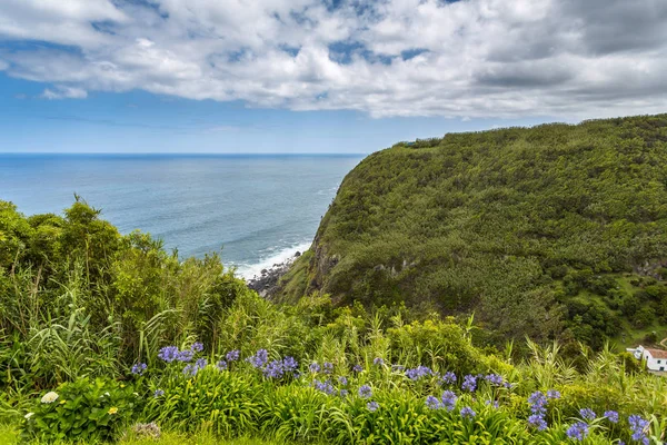 Fotoğraf Güzel Adası Miguel Için Yapılan Azores Portekiz — Stok fotoğraf
