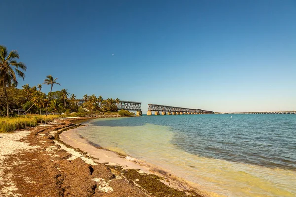 Bahia Honda State Park Park Stanowy Otwarta Plaża Publiczna Ekspozycji — Zdjęcie stockowe