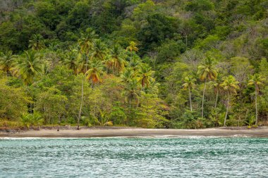 Marigot Bay Saint Lucia, Karayip Denizi. Pozlama Santa Lucia kıyı bir tekne tur iken.