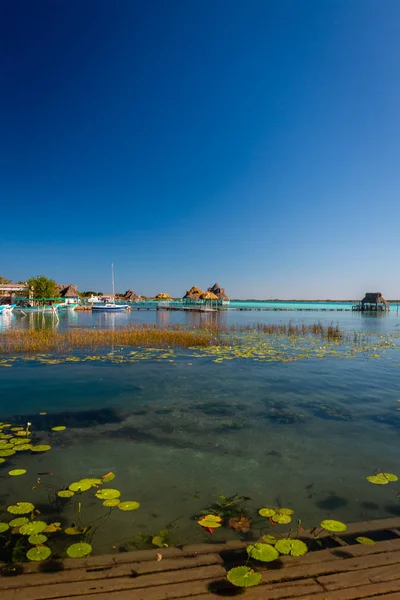 Laguna Bacalar Znana Jest Również Jako Lagoon Seven Colors Bacalar — Zdjęcie stockowe