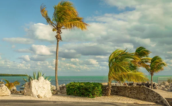 Vista sull'oceano con palme e rocce e belle nuvole — Foto Stock