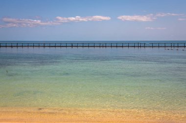 Belize adasında turkuaz su ile güzel karayip manzara