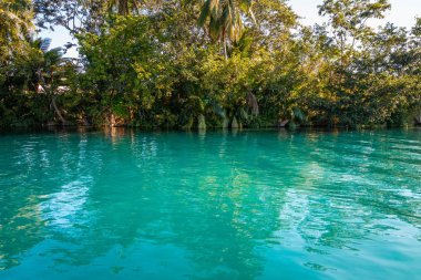 Bacalar'da Yedi Renkli Lagün