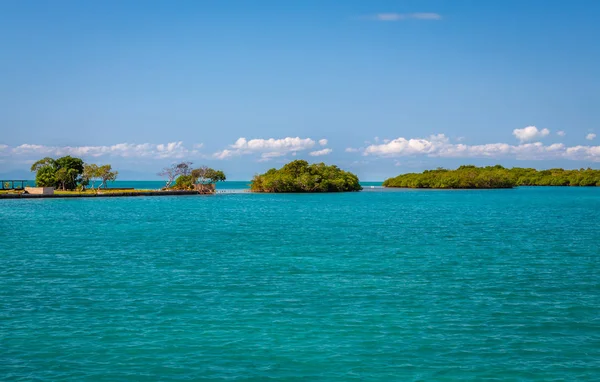 Belize-sziget — Stock Fotó