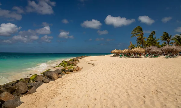 Fronte mare, Palme e sedie a Aruba Eagle Beach — Foto Stock