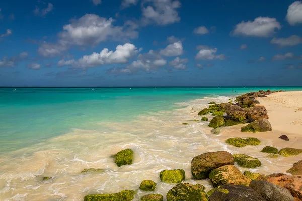 Aruba Eagle Beach — Stock Photo, Image
