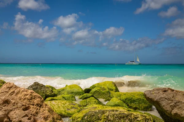 Aruba Eagle Beach — Stock Photo, Image