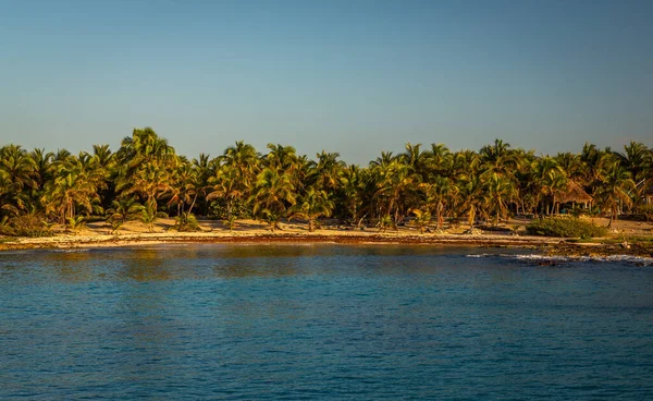 Laguna Bacalar Znana Jest Również Jako Lagoon Seven Colors Bacalar — Zdjęcie stockowe