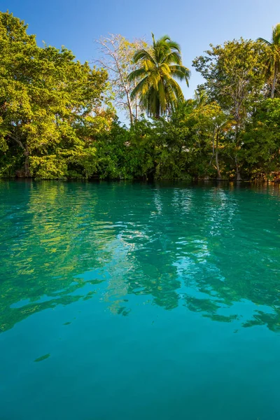 Laguna Bacalar Também Conhecida Como Lagoa Das Sete Cores Bacalar — Fotografia de Stock