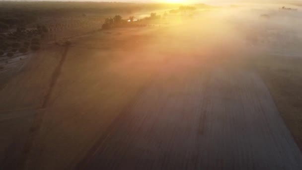 Morgennebel Bei Sonnenaufgang Schöne Aussicht Von Der Drohne Bei Sonnenaufgang — Stockvideo