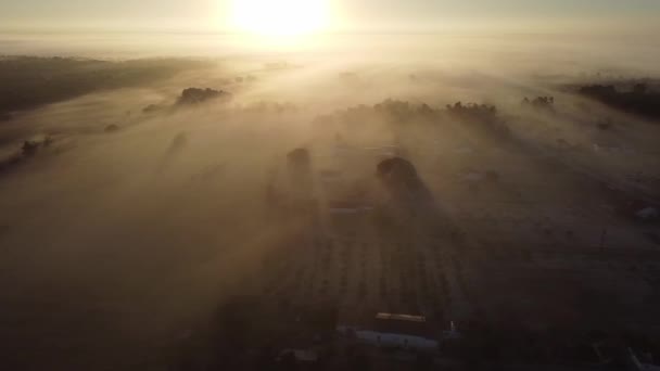 Πρωινή Ομίχλη Στο Σάνραιζ Όμορφη Θέα Από Drone Κατά Την — Αρχείο Βίντεο