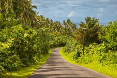 Sarmal asfalt bir yol Samoa 'daki gür tropikal ormanı keser, sık palmiye ağaçları ve canlı yeşil bitki örtüsüyle çevrilidir. Çevre turizmi, seyahat, tropikal yerler, sürdürülebilir yaşam, ada ülkelerinde ulaşım gibi konular için mükemmel, 