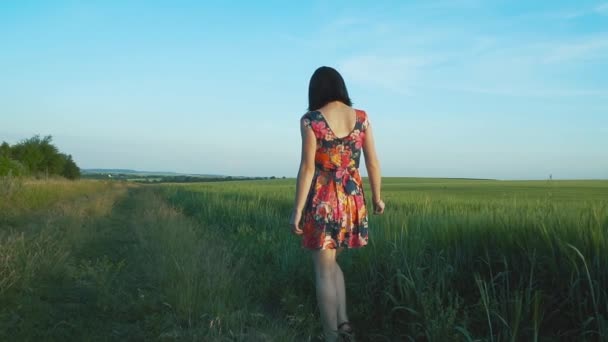 花と短いスカートの長い足を持つ美しい 魅力的なヨーロッパの女の子ライ麦フィールドを歩くし リアビュー スローモーションでライ麦スパイクをストローク — ストック動画
