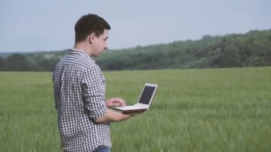 Siyah saçlı ve yeşil buğday alanında duran ve bir tablet tarım teknolojisi alanında çalışan kareli gömlek çiftçi