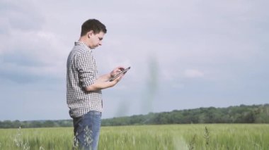 Siyah saçlı ve yeşil buğday alanında duran ve bir tablet tarım teknolojisi alanında çalışan kareli gömlek çiftçi