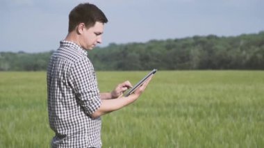 Siyah saçlı ve yeşil buğday alanında duran ve bir tablet tarım teknolojisi alanında çalışan kareli gömlek çiftçi
