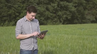 Siyah saçlı ve yeşil buğday alanında duran ve bir tablet tarım teknolojisi alanında çalışan kareli gömlek çiftçi