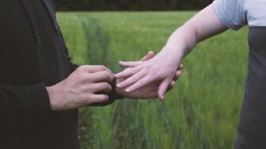 İki homoseksüel erkekler el yakın çekim yeşil buğday sahada birbirlerine alyans dediği gibi