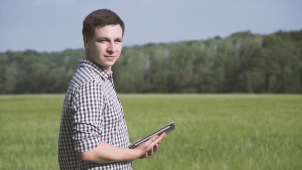 Yeşil Buğday Alanında Duran Bir Tablet Tarım Teknolojisi Alanında Çalışan — Stok video
