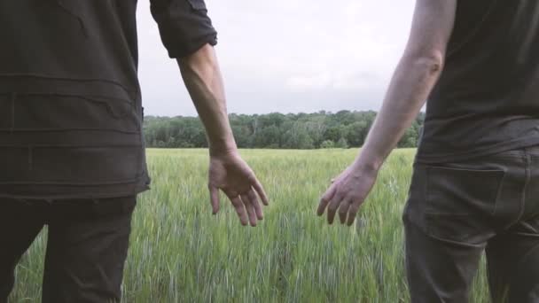 Par Homens Gays Andando Campo Trigo Verde Mãos Dadas — Vídeo de Stock