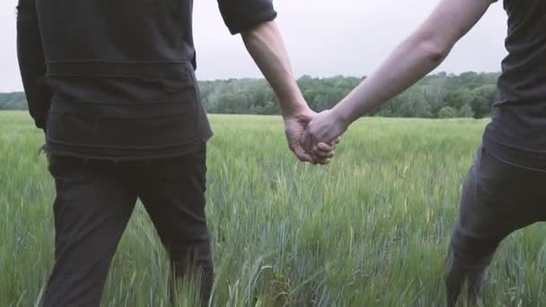 一对同性恋男子走在绿色麦田手牵着手 — 图库视频影像