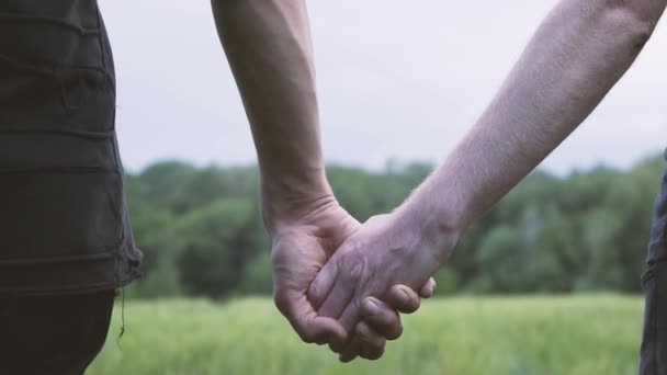 Par Hombres Gay Caminando Campo Trigo Verde Tomados Mano — Vídeo de stock