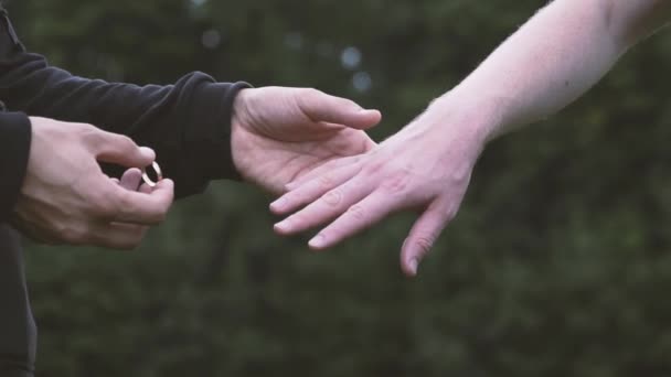 Paio Uomini Gay Che Camminano Campo Grano Verde Tenendosi Mano — Video Stock