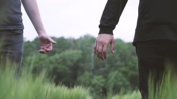 Par Homens Gays Andando Campo Trigo Verde Mãos Dadas — Vídeo de Stock