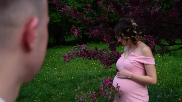 Een man kijkt naar een zwangere vrouw die bij een rode boom in een park staat — Stockvideo