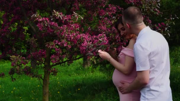 Un hombre con una mujer en un parque cerca del árbol rojo floreciente — Vídeo de stock