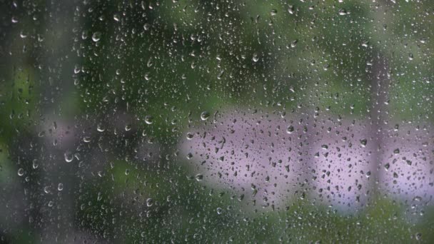 Detailní záběr kapek vody na sklo. dešťové dny — Stock video
