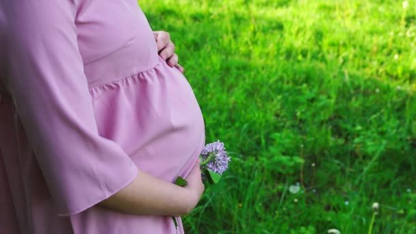 Těhotná žena hladí své břicho v parku — Stock video