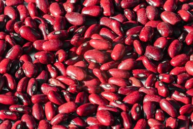 kırmızı fasulye yakın çekim