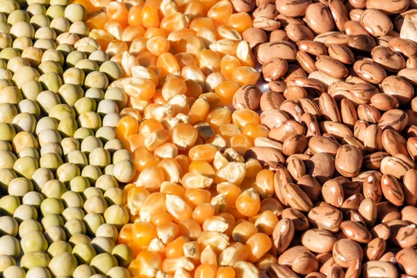 close up grain varieties
