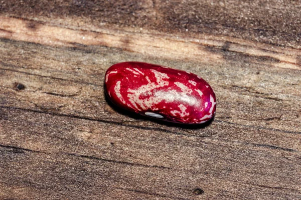 Cerrar Macro Frijol Rojo — Foto de Stock