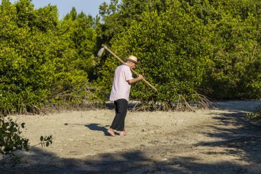 Brezilya iç üst düzey adamdan