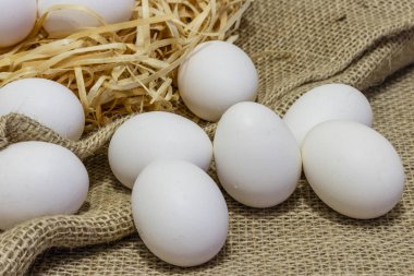 Beyaz yumurta yakın çekim