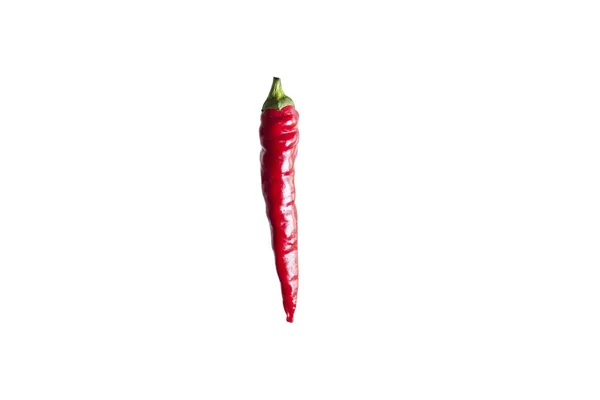 Close Chili Pepper White Background — Stock Photo, Image