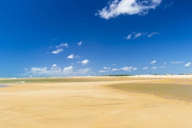 ile kum üzerinde yakın çekim sandalet, Cumbuco, Cear alt plajda - Brezilya.
